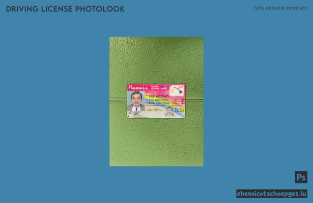 USA Hawaii Führerschein Fotoansicht 2021-heute